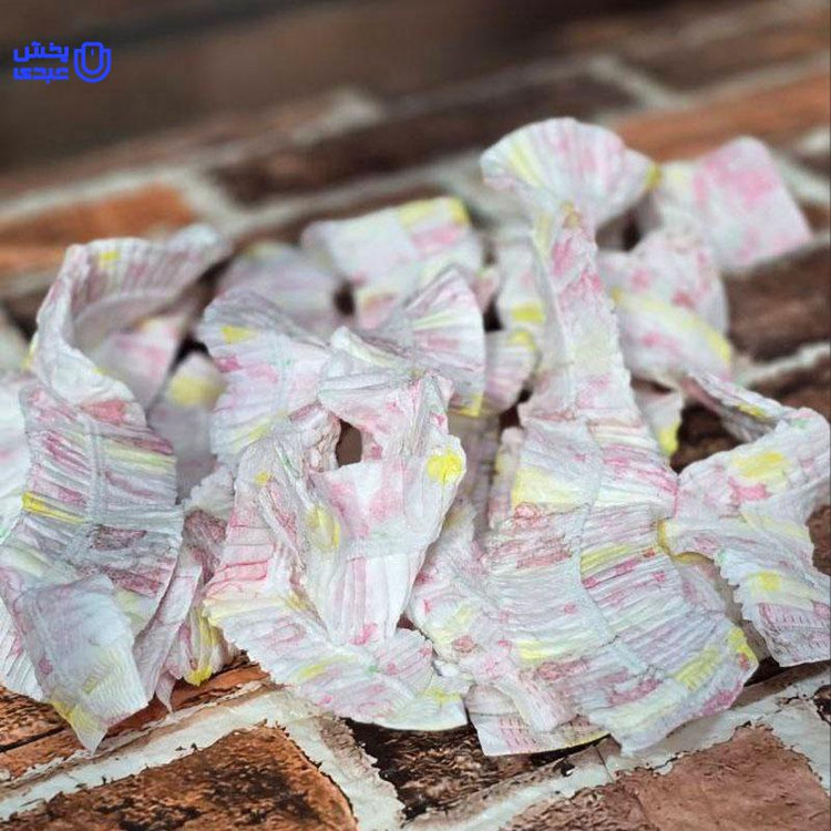 روبالشتی ضد باکتر 10 عددی ( خارجی )